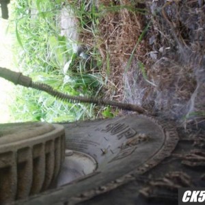 Brake cables