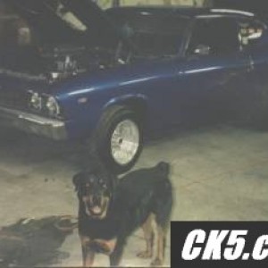 Ryoken's Chevelle and Raven