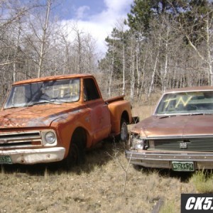 Chevys_010_600_x_450_