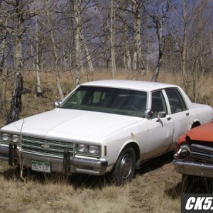 Chevys_012_600_x_450_