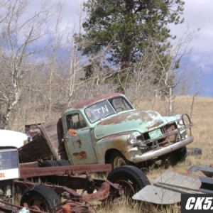Chevys_015_600_x_450_