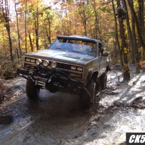 Rausch 10-20