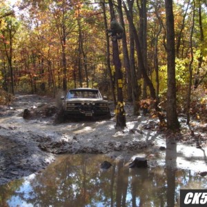 Rausch 10-20