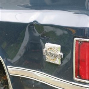blazer_damage