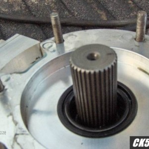 Picture_010