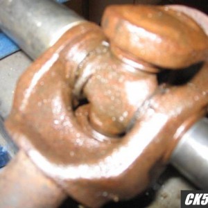 U-Joint