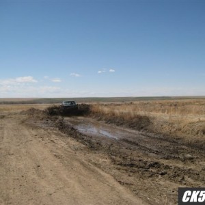 Picture_192