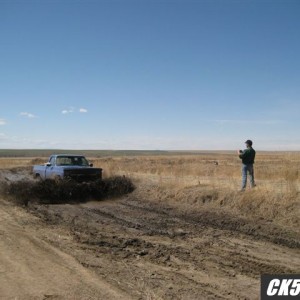 Picture_193
