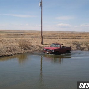 Picture_198