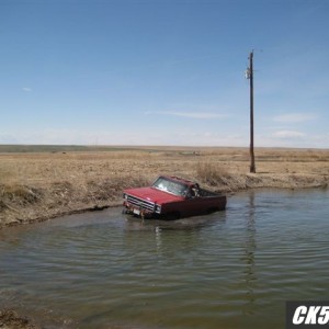 Picture_199