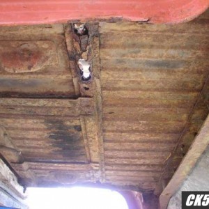 rotted