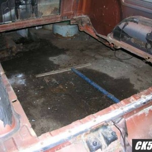 rotted2