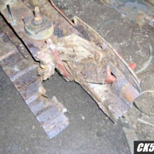 rotted3