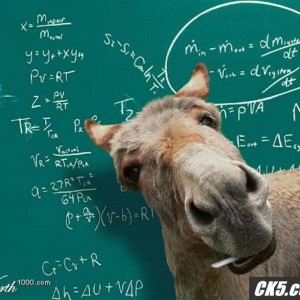 Smart_ass_Small_