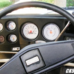 1976 Transplant