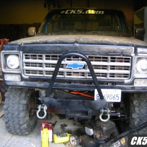 stinger