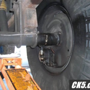 rear disc carnage
