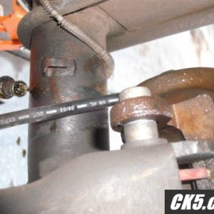 12b_disc_carnage_2
