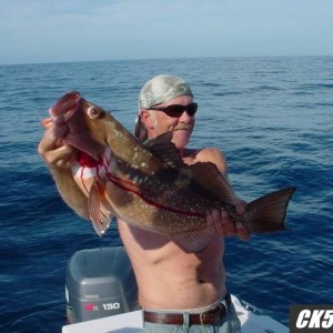 You say Grouper?