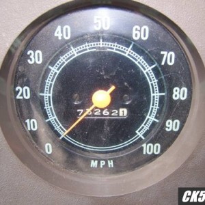 speedo