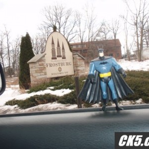 The Bat