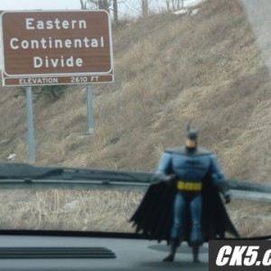 The Bat