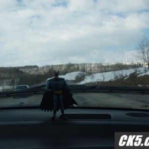 The Bat