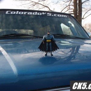 The Bat