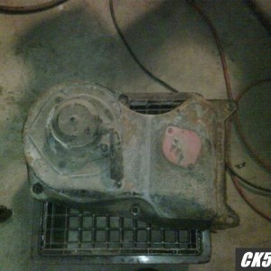 IMG00217-20100919-1820