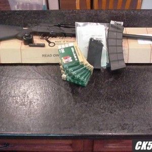 new saiga