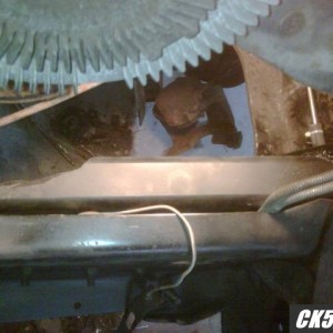 IMG00234-20101011-1641