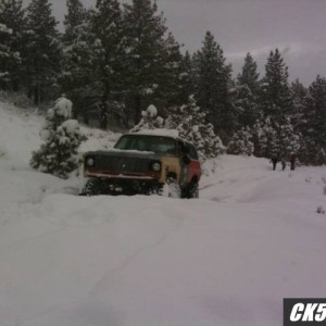 rescuing snow-newbs