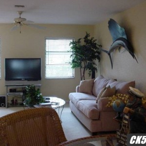DSC09604