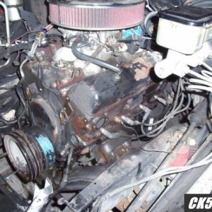 DSCF9598