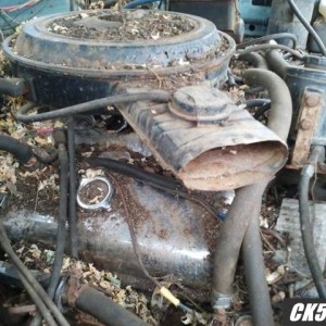 Corey_s_pics_1407