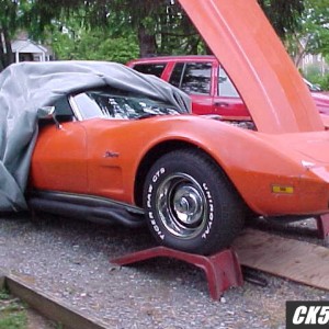 vette