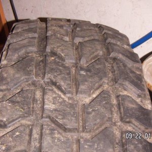 OZ radials