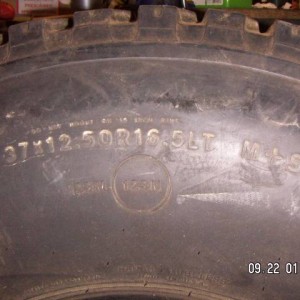 OZ radials