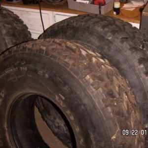 OZ radials