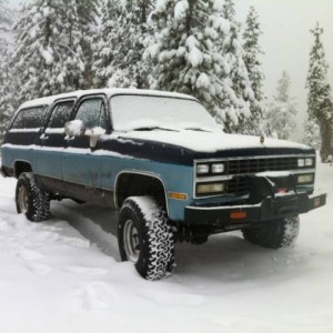 Hunting in Yuba Gap