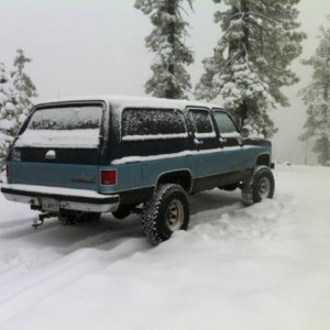 Hunting in Yuba Gap