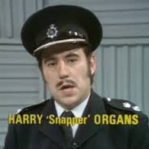 Harry_Snapper_Organs