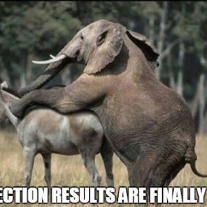 Election_results