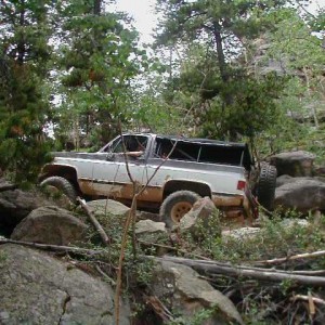 Spring Creek 23