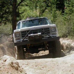 Spring Creek 12