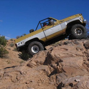 Fins & Things 150