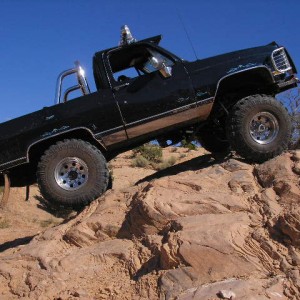 Fins & Things 147