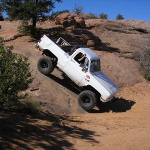 Fins & Things 142