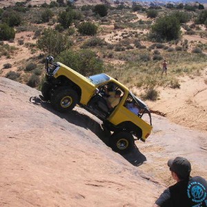 Fins & Things 135