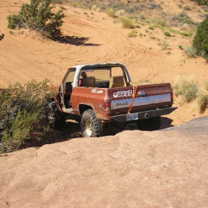 Fins & Things 129
